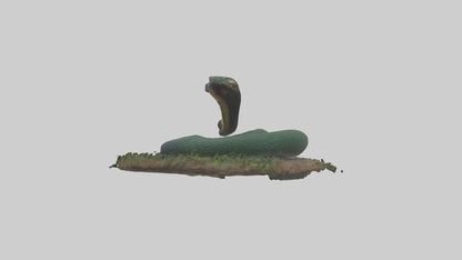Forest Cobra hiding model 3D model