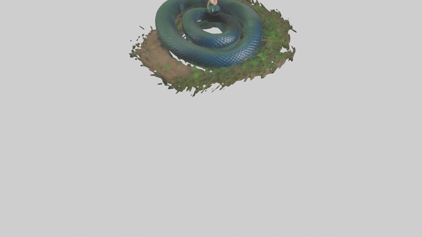 Forest Cobra hiding model 3D model