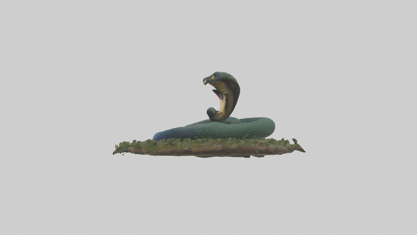 Forest Cobra hiding model 3D model