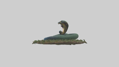 Forest Cobra hiding model 3D model
