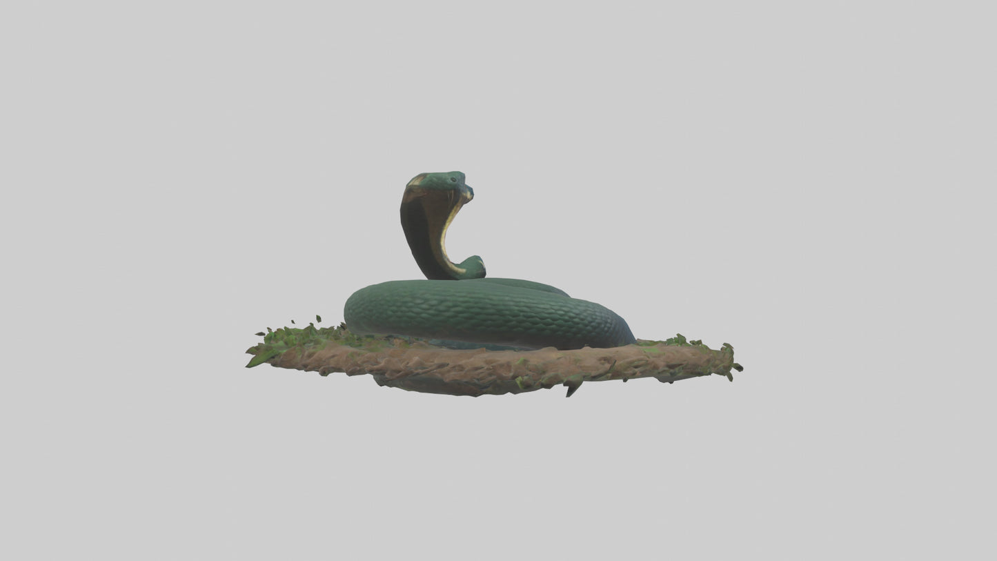 Forest Cobra hiding model 3D model