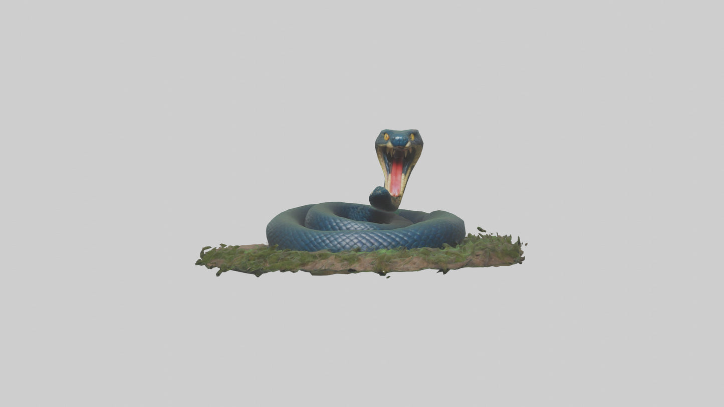 Forest Cobra hiding model 3D model