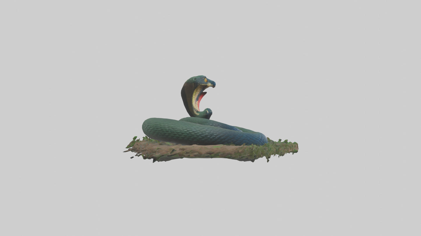 Forest Cobra hiding model 3D model