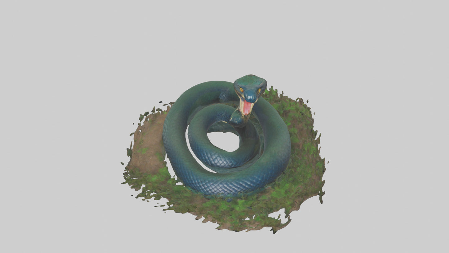 Forest Cobra hiding model 3D model