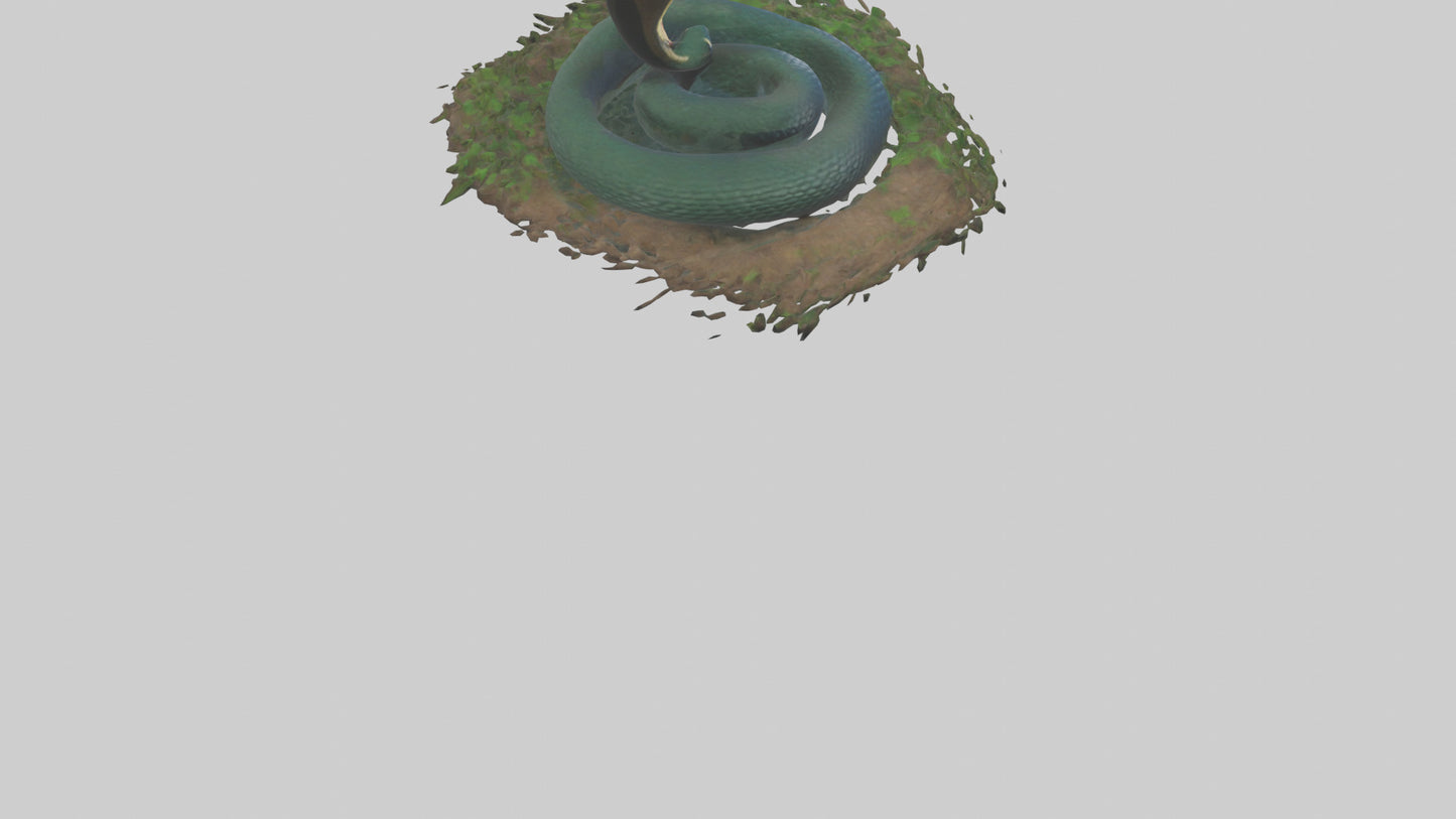 Forest Cobra hiding model 3D model