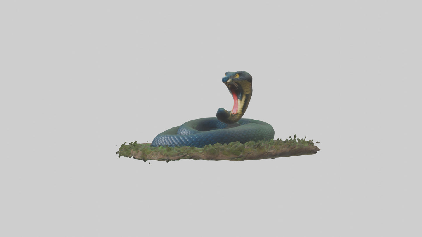 Forest Cobra hiding model 3D model
