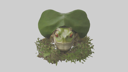 Forest Frog hiding model 3D model