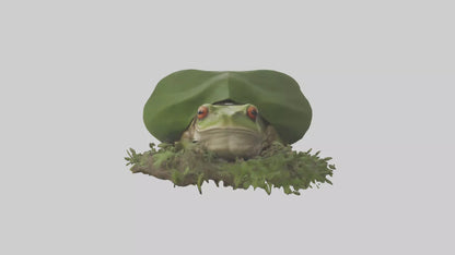 Forest Frog hiding model 3D model