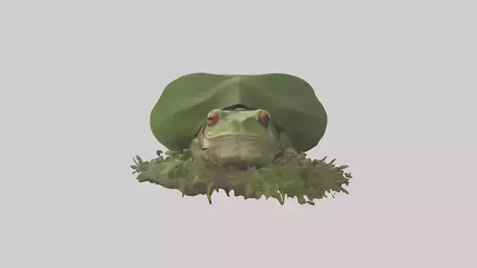 Forest Frog hiding model 3D model