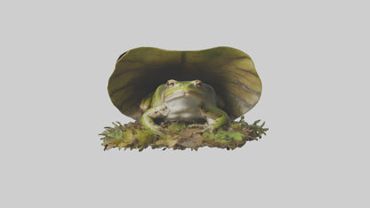 Forest Frog hiding model 3D model