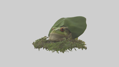 Forest Frog hiding model 3D model