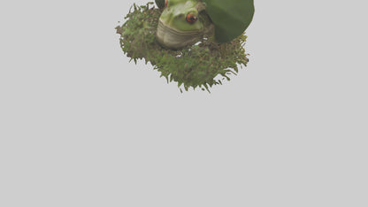 Forest Frog hiding model 3D model
