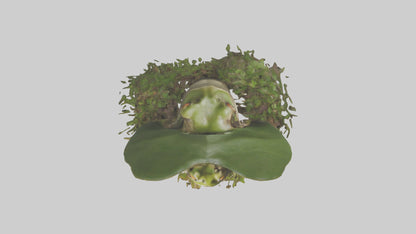 Forest Frog hiding model 3D model