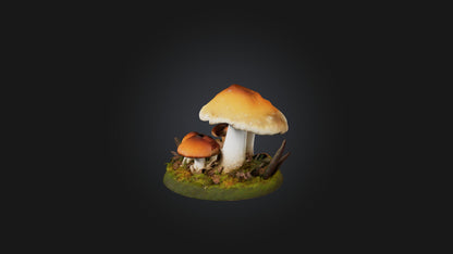3D model Forest Mushroom Model VR / AR / low-poly