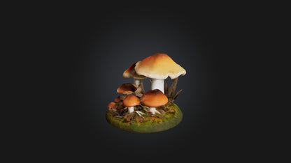 3D model Forest Mushroom Model VR / AR / low-poly
