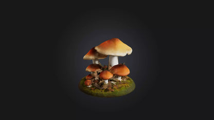 3D model Forest Mushroom Model VR / AR / low-poly