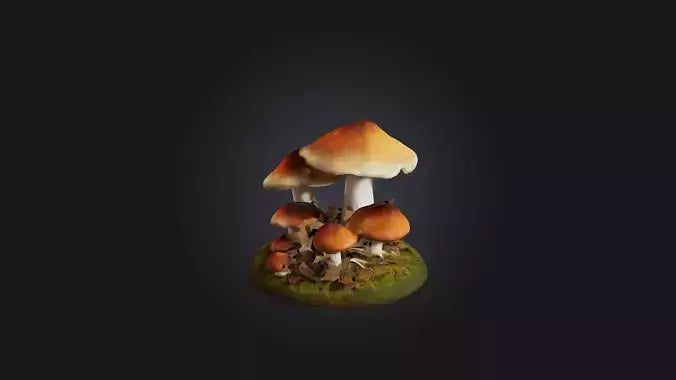 3D model Forest Mushroom Model VR / AR / low-poly