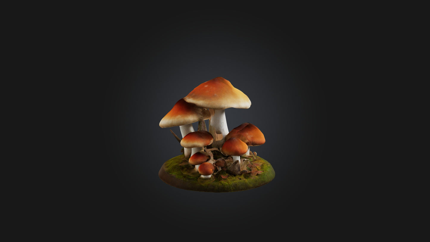 3D model Forest Mushroom Model VR / AR / low-poly