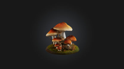 3D model Forest Mushroom Model VR / AR / low-poly