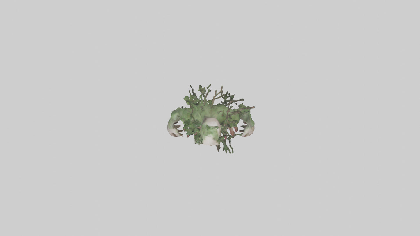 3D model Forest Mutant model VR / AR / low-poly