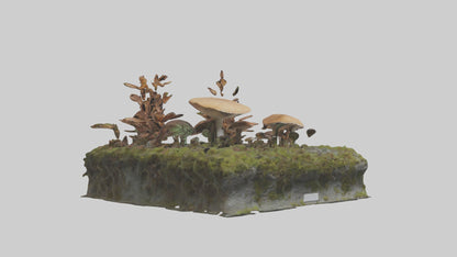 3D model Forestfloor Model VR / AR / low-poly