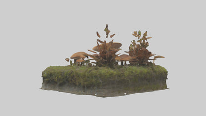 3D model Forestfloor Model VR / AR / low-poly
