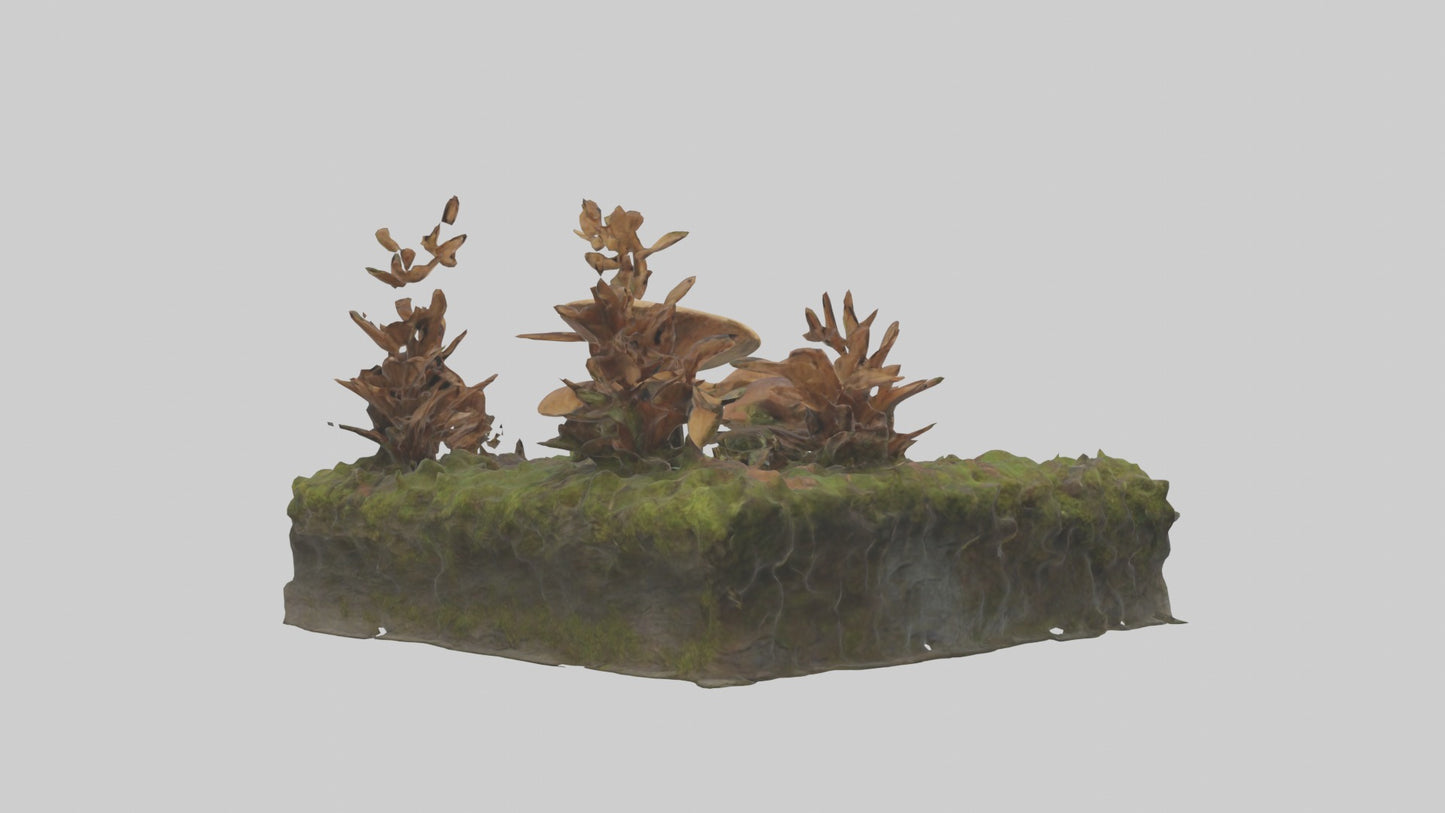 3D model Forestfloor Model VR / AR / low-poly