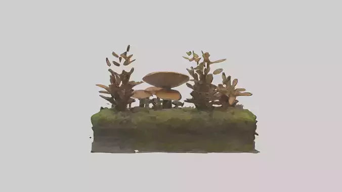 3D model Forestfloor Model VR / AR / low-poly