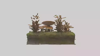 3D model Forestfloor Model VR / AR / low-poly