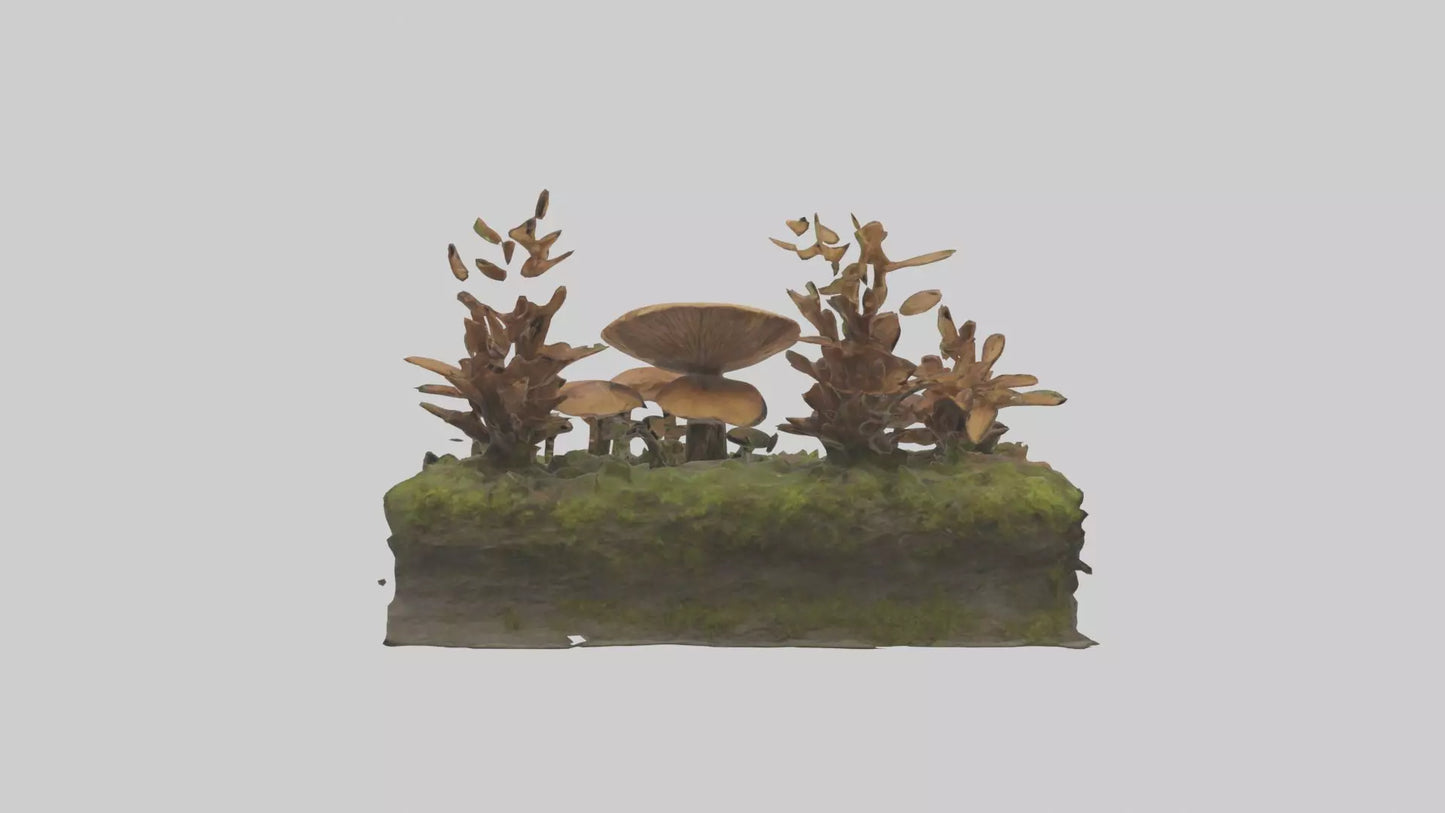 3D model Forestfloor Model VR / AR / low-poly