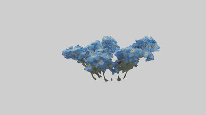 3D model Forgetmenot flower model VR / AR / low-poly