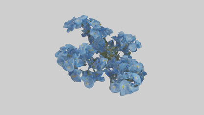 3D model Forgetmenot flower model VR / AR / low-poly