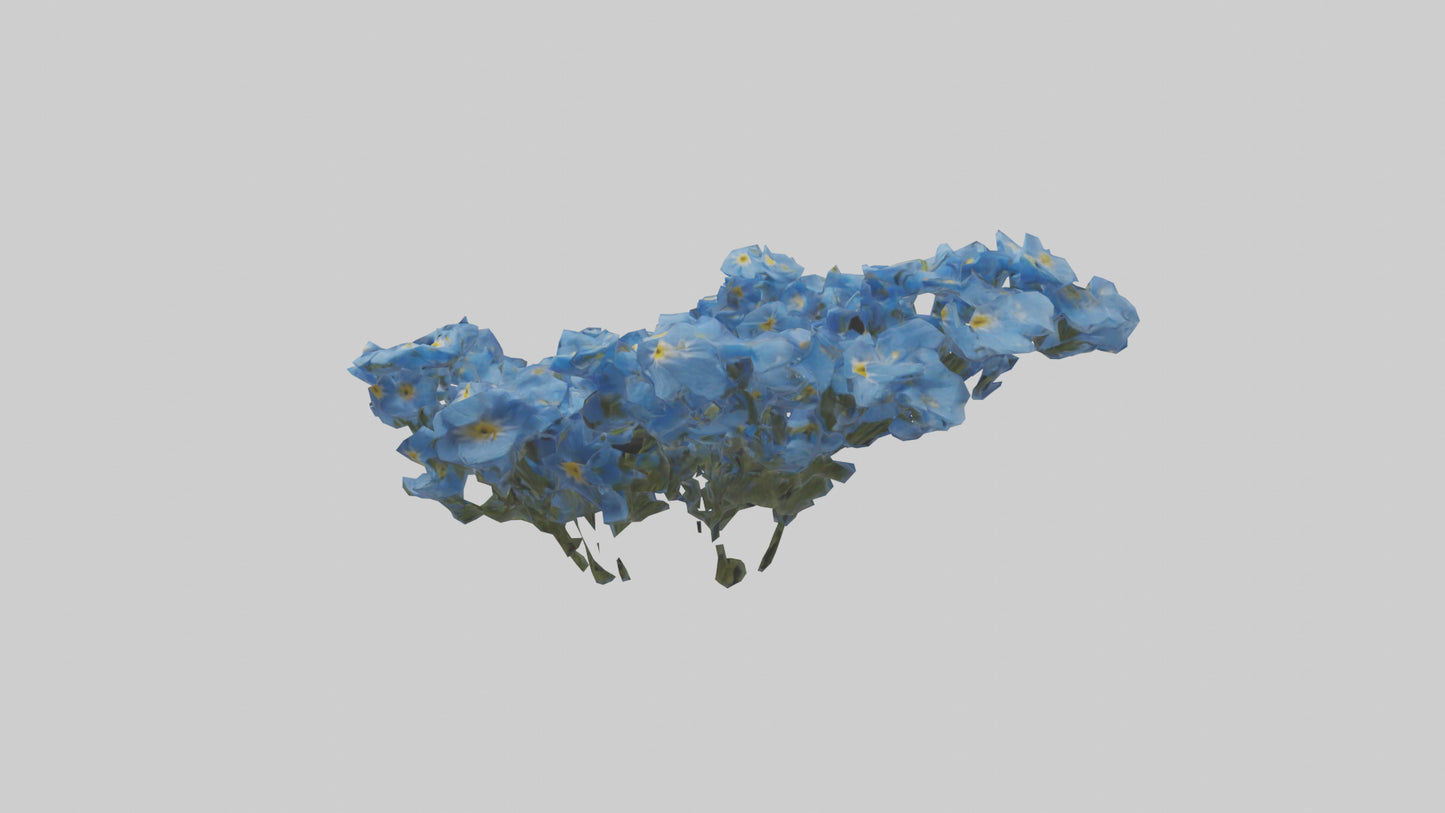 3D model Forgetmenot flower model VR / AR / low-poly