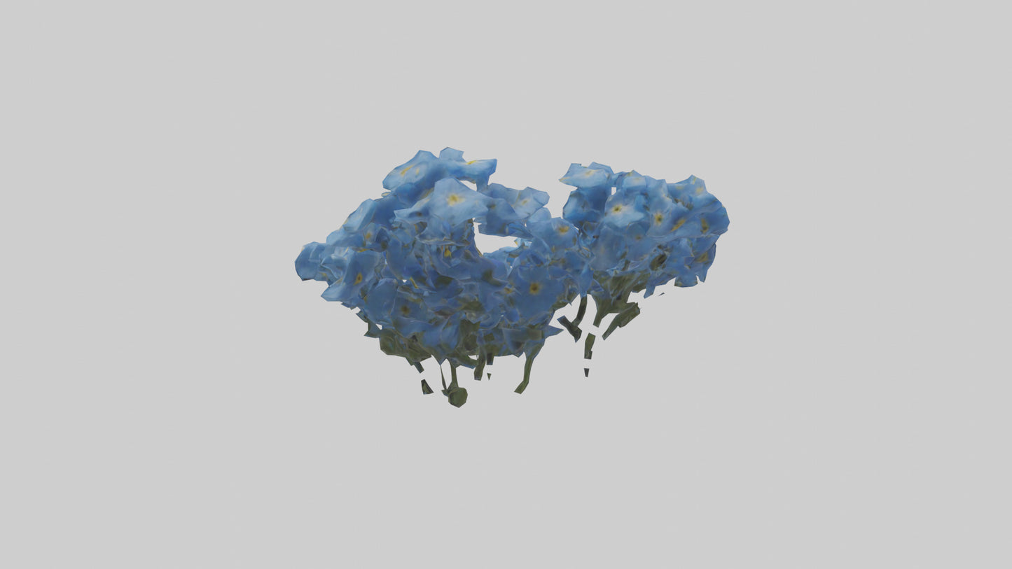 3D model Forgetmenot flower model VR / AR / low-poly