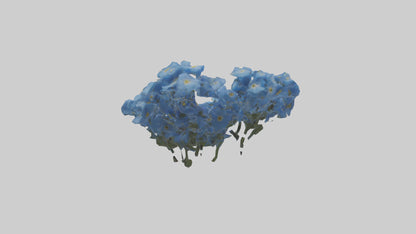 3D model Forgetmenot flower model VR / AR / low-poly