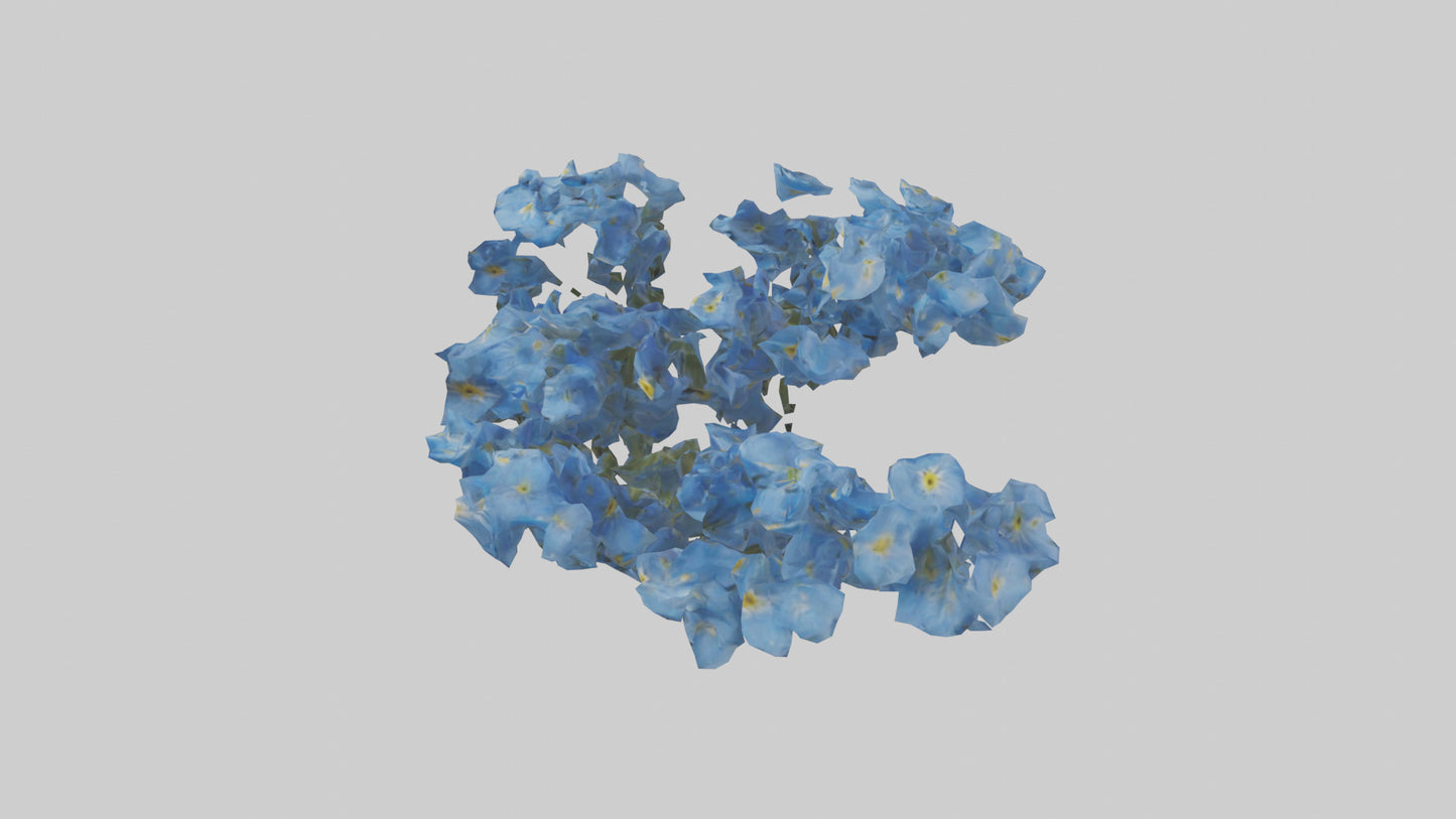 3D model Forgetmenot flower model VR / AR / low-poly