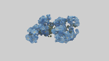 3D model Forgetmenot flower model VR / AR / low-poly