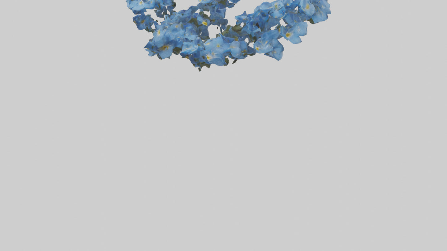 3D model Forgetmenot flower model VR / AR / low-poly