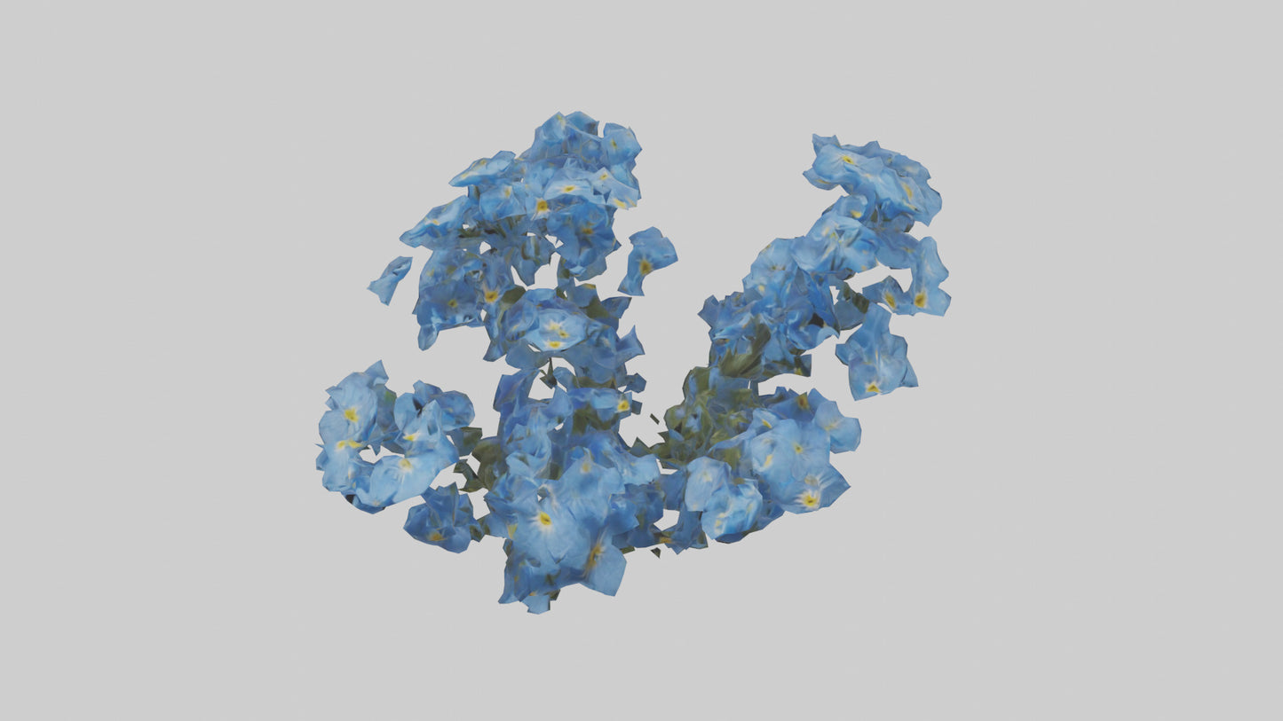 3D model Forgetmenot flower model VR / AR / low-poly