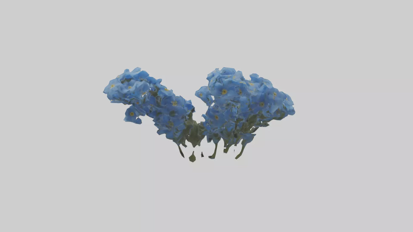 3D model Forgetmenot flower model VR / AR / low-poly