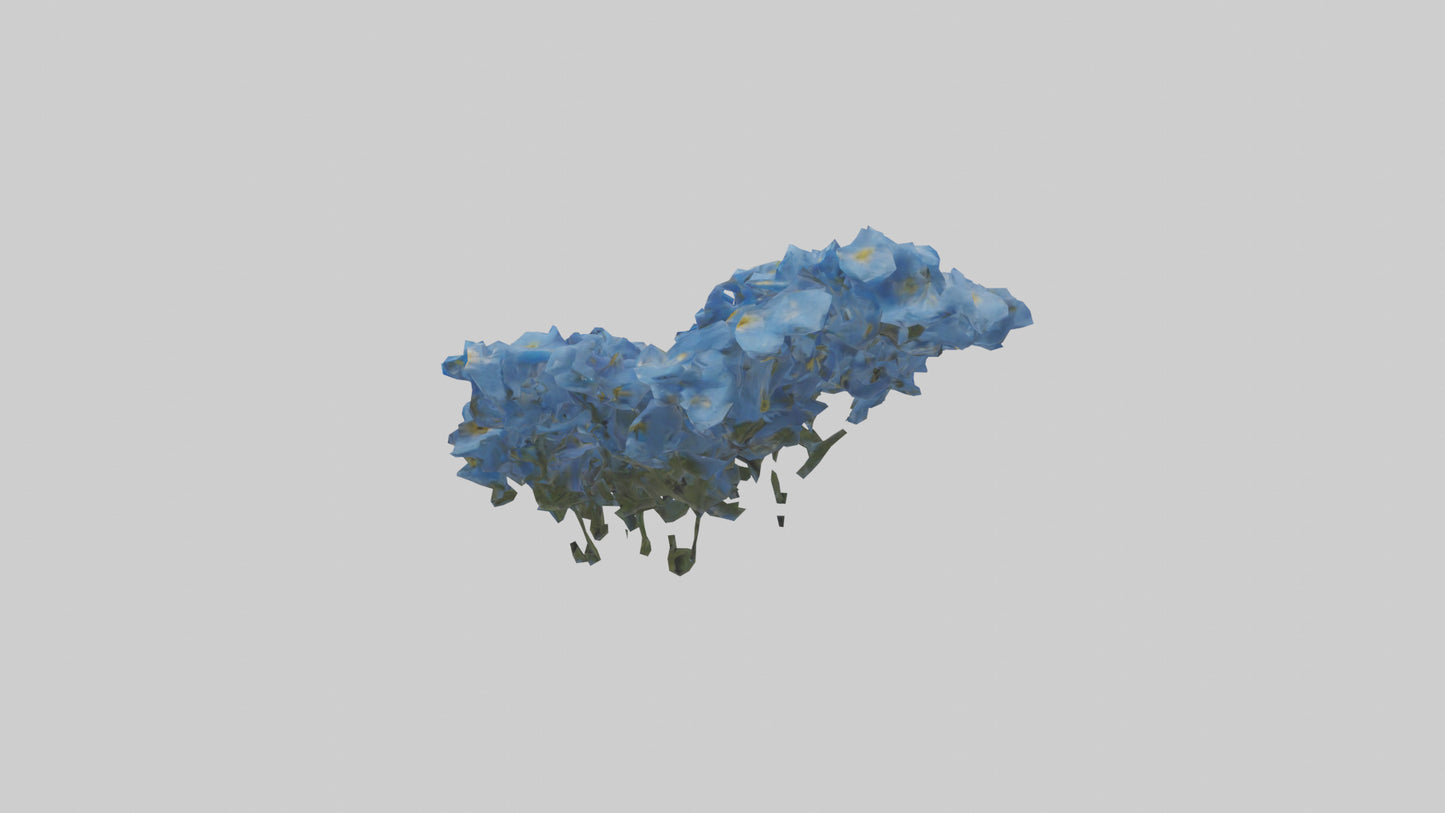 3D model Forgetmenot flower model VR / AR / low-poly