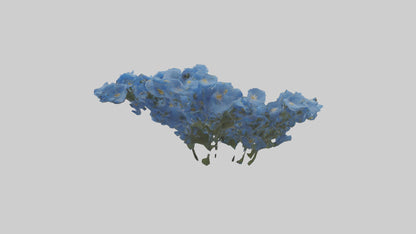 3D model Forgetmenot flower model VR / AR / low-poly
