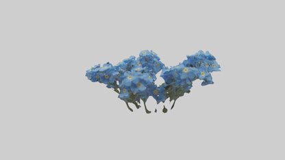 3D model Forgetmenot flower model VR / AR / low-poly