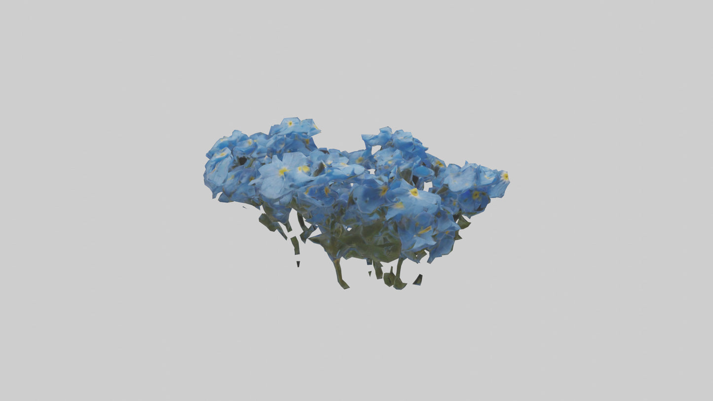 3D model Forgetmenot flower model VR / AR / low-poly