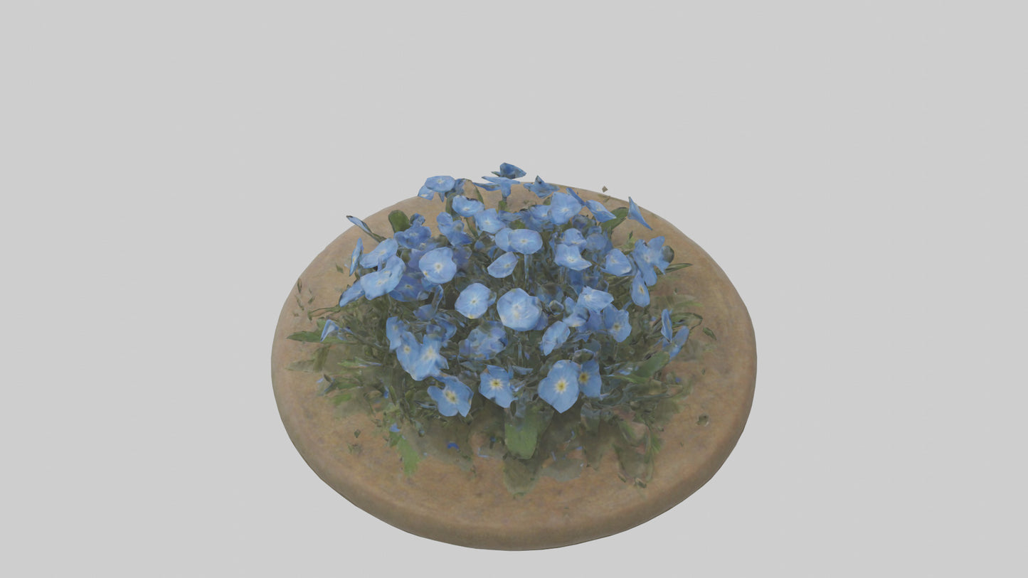 Forgetmenot model 3D model