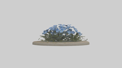 Forgetmenot model 3D model