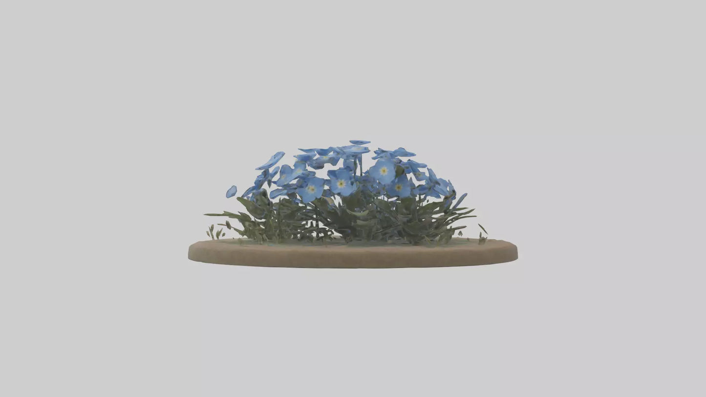 Forgetmenot model 3D model