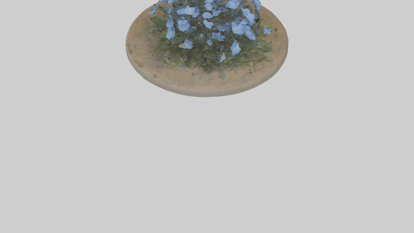 Forgetmenot model 3D model