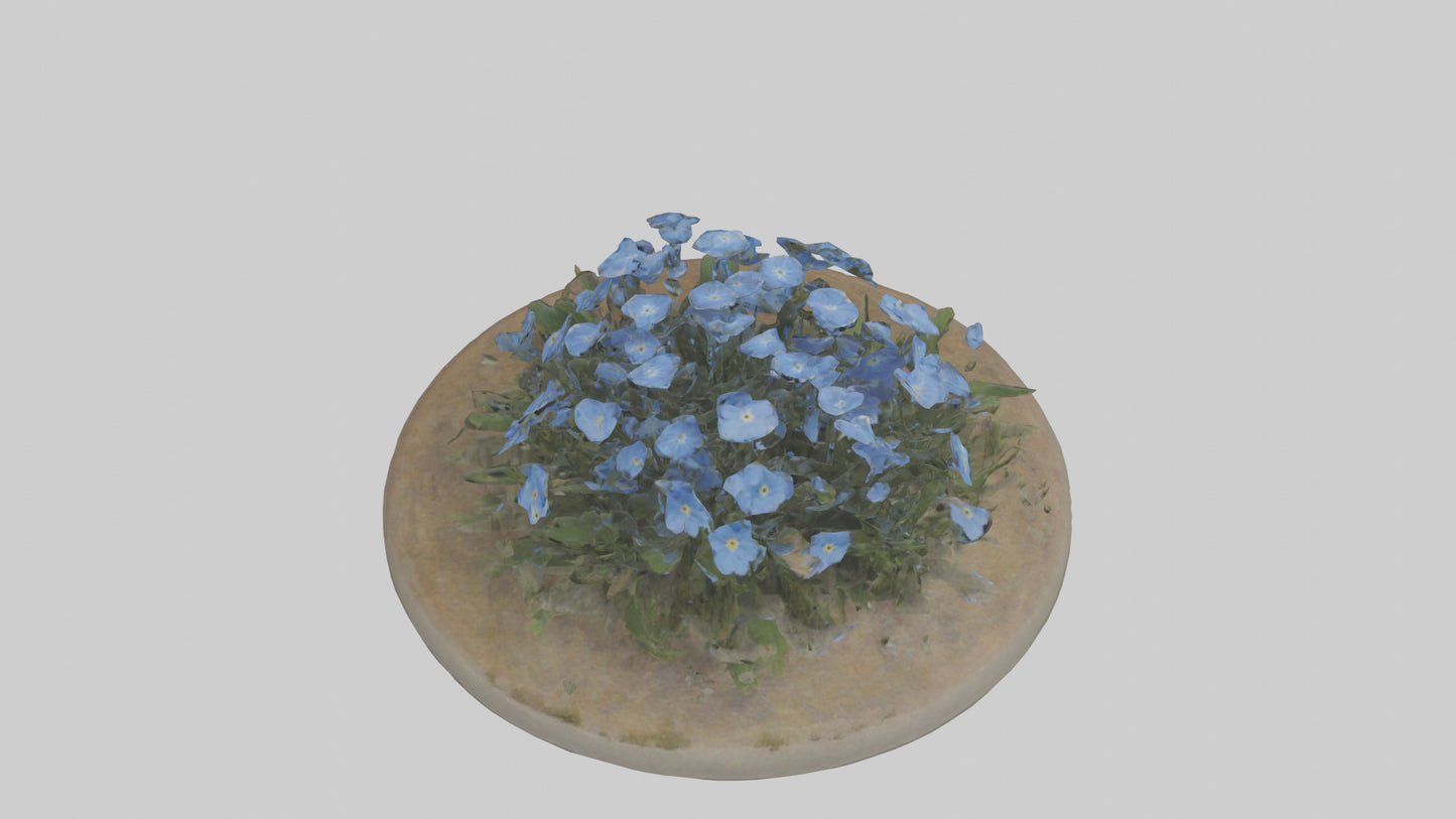 Forgetmenot model 3D model