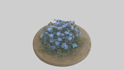 Forgetmenot model 3D model